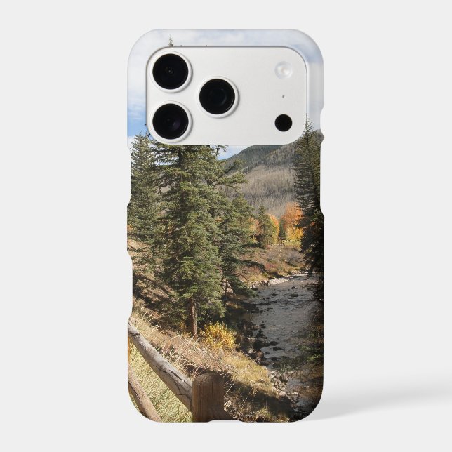 Fall in Aspen (Back)