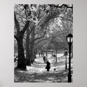 Fall in Central Park 06  25 Poster
