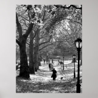 Fall in Central Park 06  25 Poster