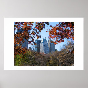FALL IN CENTRAL PARK NYC photography poster