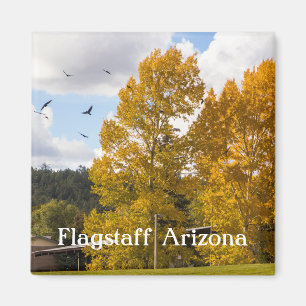 Fall in Flagstaff Arizona Magnet