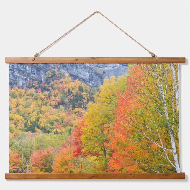 Fall in Grafton Notch State Park, Maine Hanging Tapestry (Front)