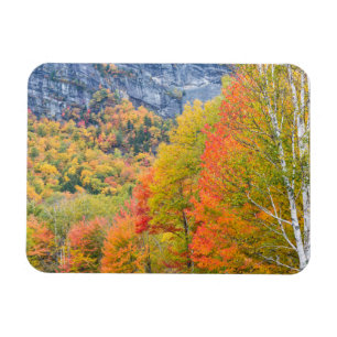 Fall in Grafton Notch State Park, Maine Magnet
