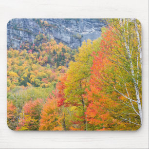 Fall in Grafton Notch State Park, Maine Mouse Mat