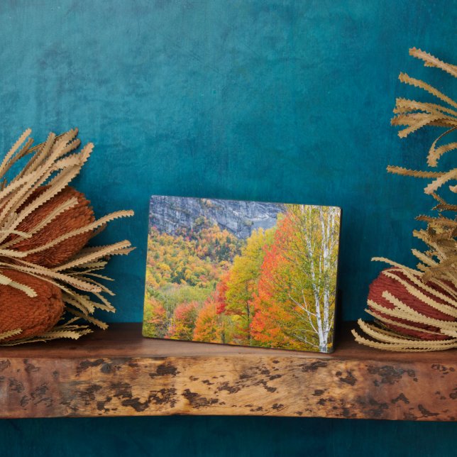 Fall in Grafton Notch State Park, Maine Plaque (Side)