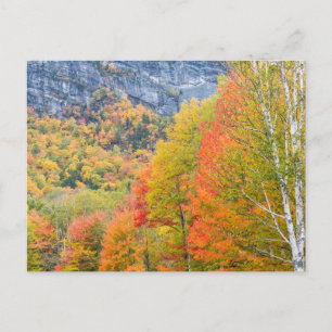 Fall in Grafton Notch State Park, Maine Postcard