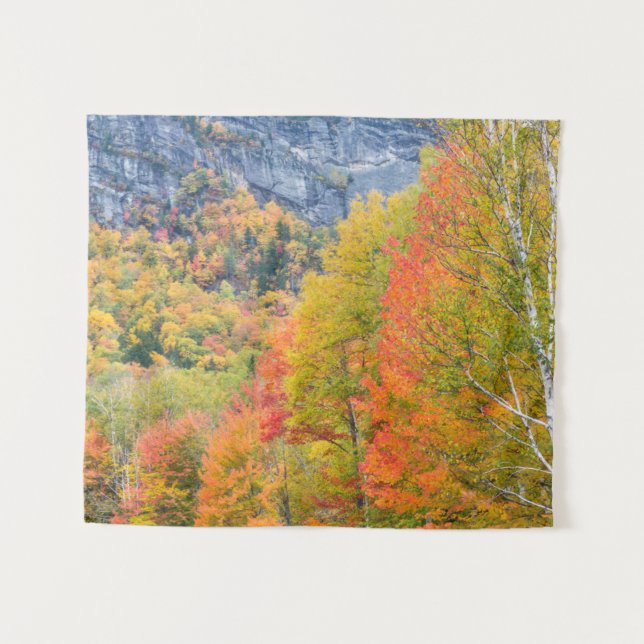 Fall in Grafton Notch State Park, Maine Tapestry (Front (Horizontal))