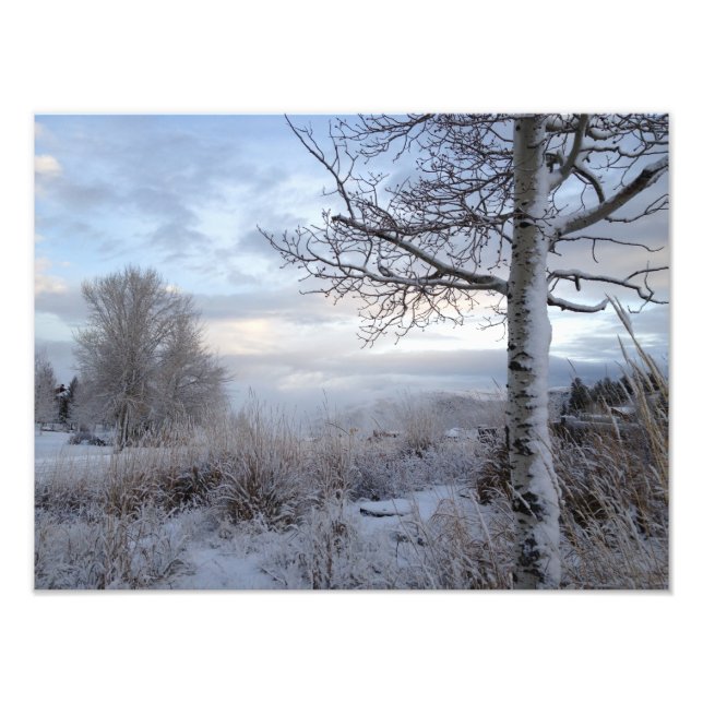 Fall in Jackson Hole, WY Photo Print (Front)
