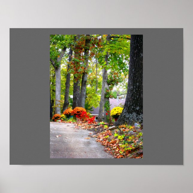 Fall in Missouri Poster (Front)