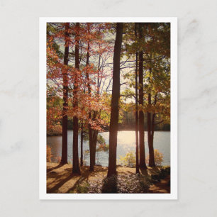 Fall in New England Postcard