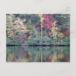 Fall in Oneida, TN Postcard