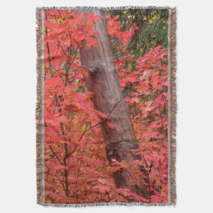 Fall in pink in Sedona, Arizona Throw Blanket
