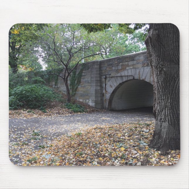Fall in Riverside Park Stone Archway New York NYC Mouse Mat (Front)