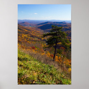 Fall in Shenandoah National Park, Virginia Poster