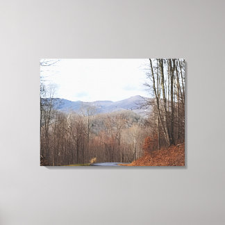 Fall in the Blue Ridge Mountains Canvas Print