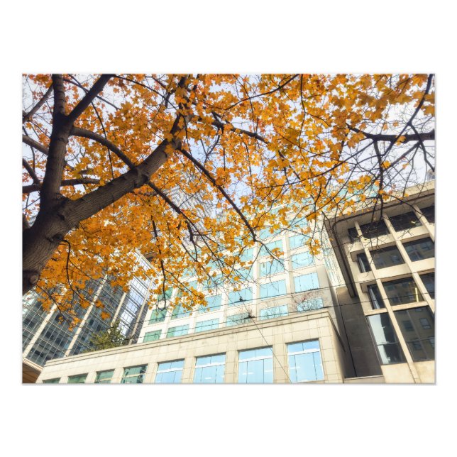 Fall in the City Photo Print (Front)