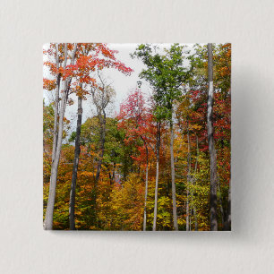 Fall in the Forest Colourful Autumn Photography 15 Cm Square Badge