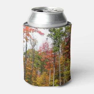 Fall in the Forest Colourful Autumn Photography Can Cooler