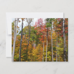 Fall in the Forest Colourful Autumn Photography Card