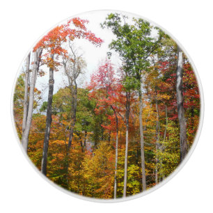 Fall in the Forest Colourful Autumn Photography Ceramic Knob