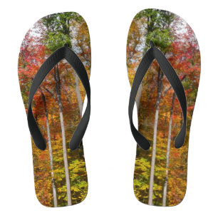 Fall in the Forest Colourful Autumn Photography Flip Flops