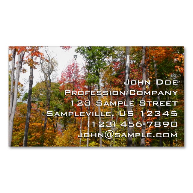 Fall in the Forest Colourful Autumn Photography Magnetic Business Card (Front)