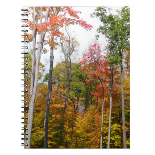 Fall in the Forest Colourful Autumn Photography Notebook