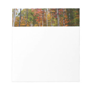 Fall in the Forest Colourful Autumn Photography Notepad