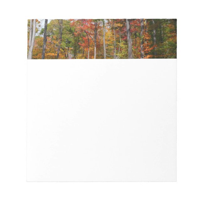 Fall in the Forest Colourful Autumn Photography Notepad (Front)