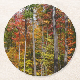 Fall in the Forest Colourful Autumn Photography Round Paper Coaster