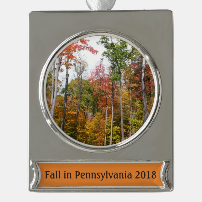 Fall in the Forest Colourful Autumn Photography Silver Plated Banner Ornament (Front)
