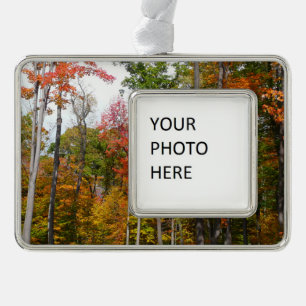 Fall in the Forest Colourful Autumn Photography Silver Plated Framed Ornament