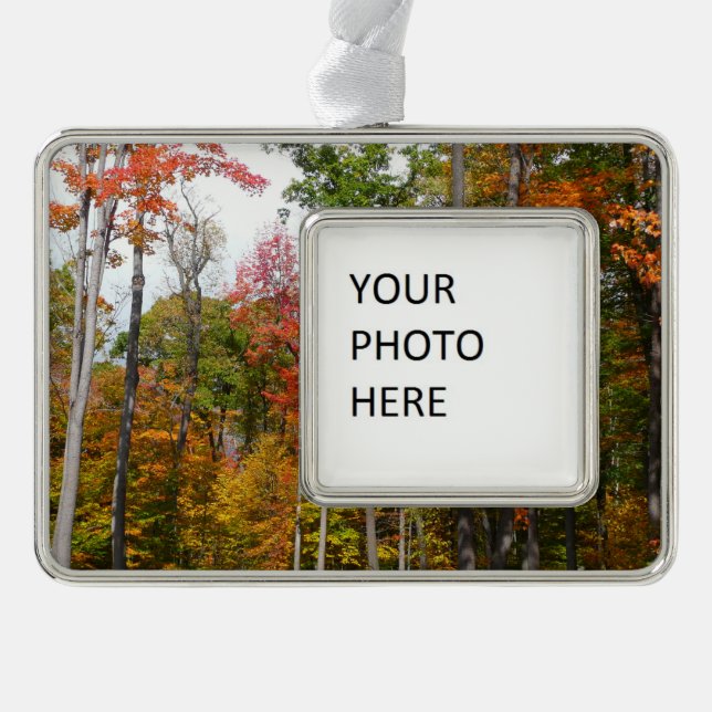 Fall in the Forest Colourful Autumn Photography Silver Plated Framed Ornament (Front)