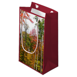 Fall in the Forest Colourful Autumn Photography Small Gift Bag