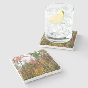 Fall in the Forest Colourful Autumn Photography Stone Coaster