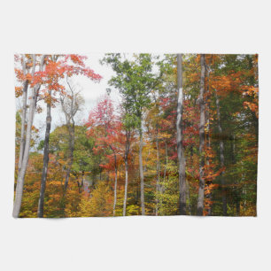 Fall in the Forest Colourful Autumn Photography Tea Towel