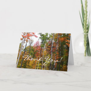 Fall in the Forest Colourful Autumn Photography Thank You Card