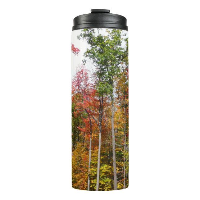 Fall in the Forest Colourful Autumn Photography Thermal Tumbler (Front)