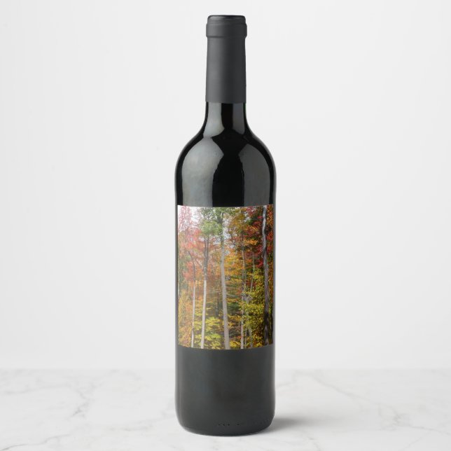 Fall in the Forest Colourful Autumn Photography Wine Label (Front)