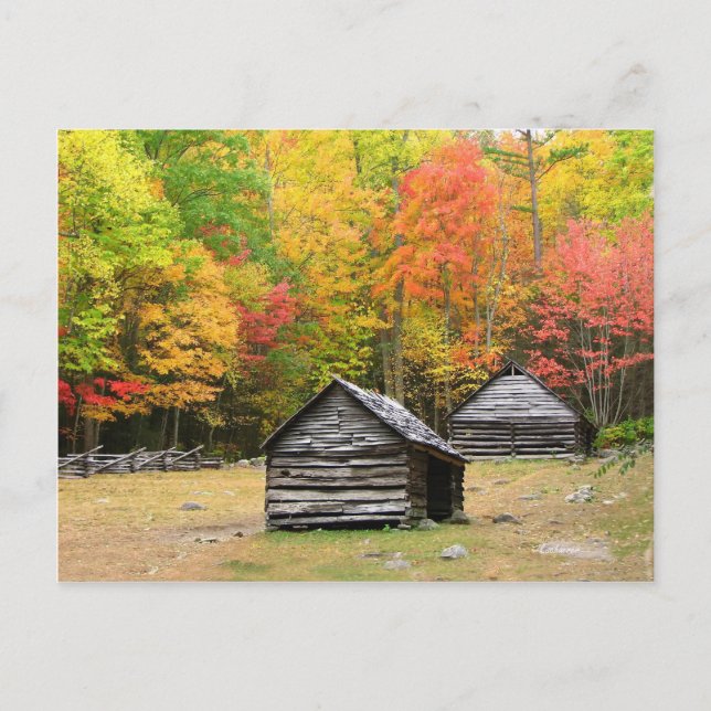 Fall in the Great Smoky Mountains Postcard (Front)