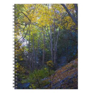 Fall in the Mountains 2 Notebook