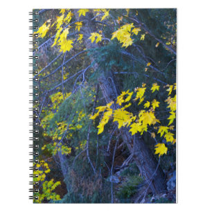Fall in the Mountains 6 Notebook