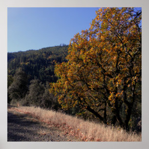 Fall in the mountains.... poster