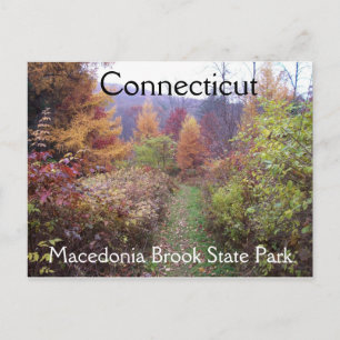 Fall in the Park Postcard