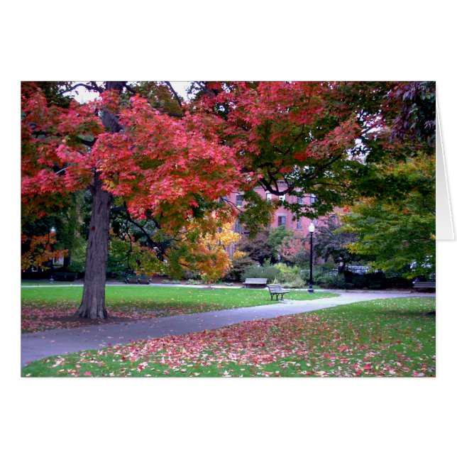 Fall in the Public Garden (Front Horizontal)