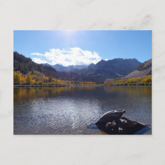 Fall in the Sierra Nevadas Postcard