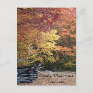 Fall in The Smoky Mountains Postcard