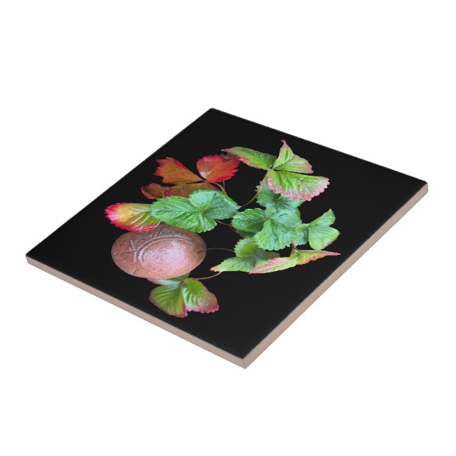 Fall Into Strawberry Season Backyard Garden Photo Tile (Side)