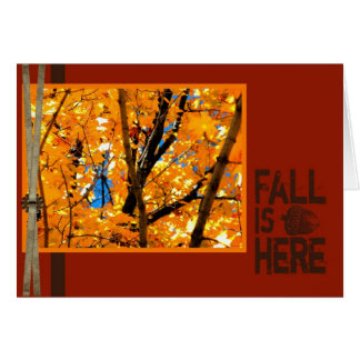 Fall is Here