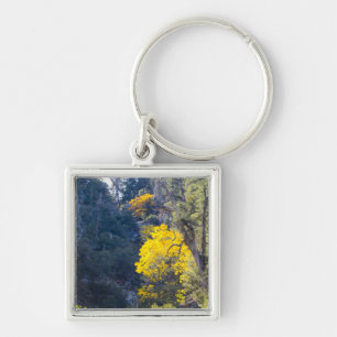 Fall Keychain 6
